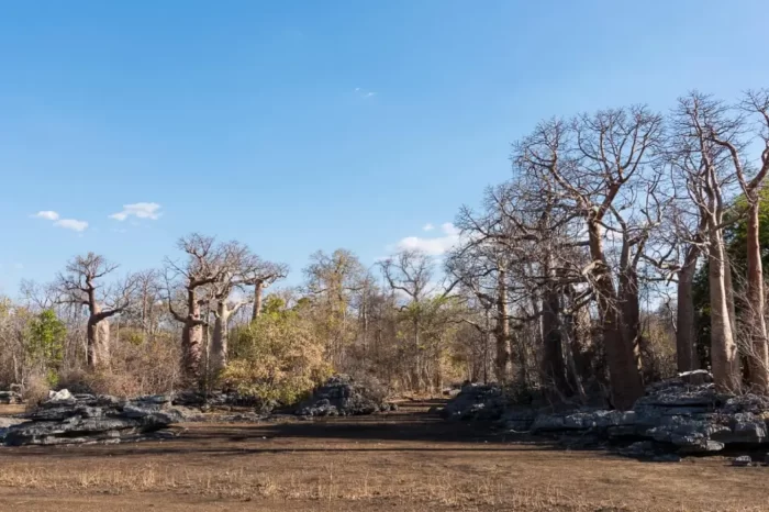 Tsingy de Namoroka e la Baia di Baly